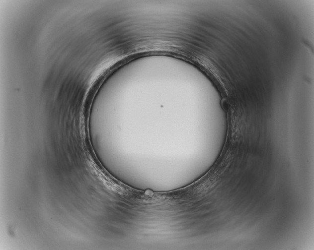 X0000100881072200807071121