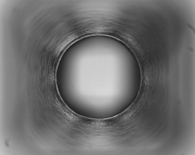 X0000100881073200807071121