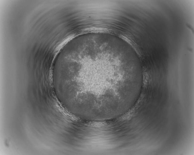 X0000100881074200807071121