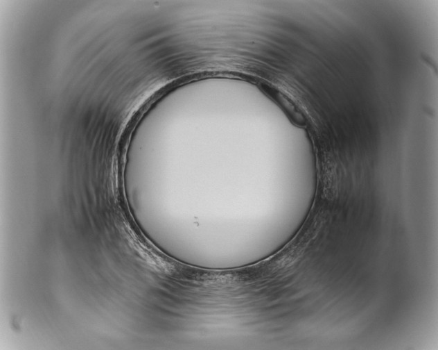 X0000100881076200807071121