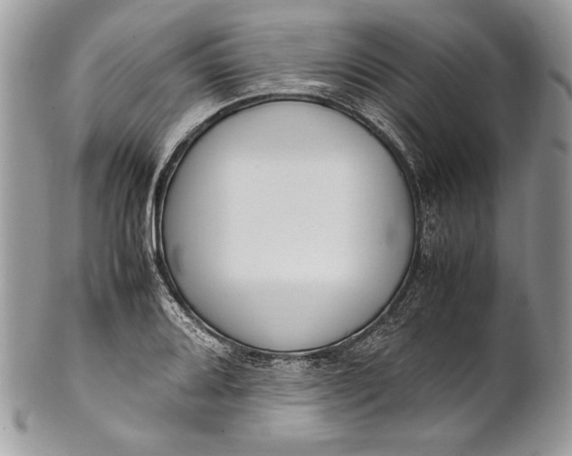 X0000100881080200807071121