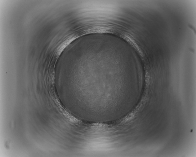 X0000100881081200807071120