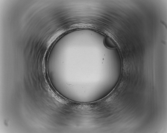 X0000100881082200807071120