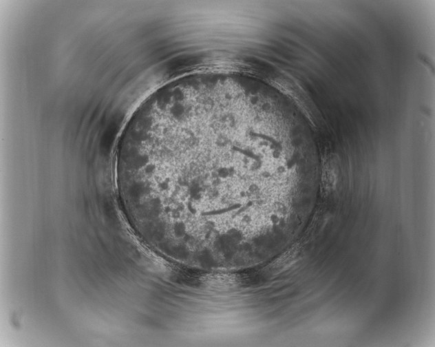 X0000100881083200807071120