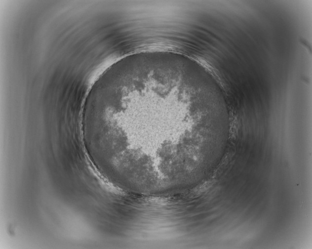 X0000100881086200807071120