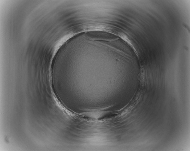 X0000100881088200807071120