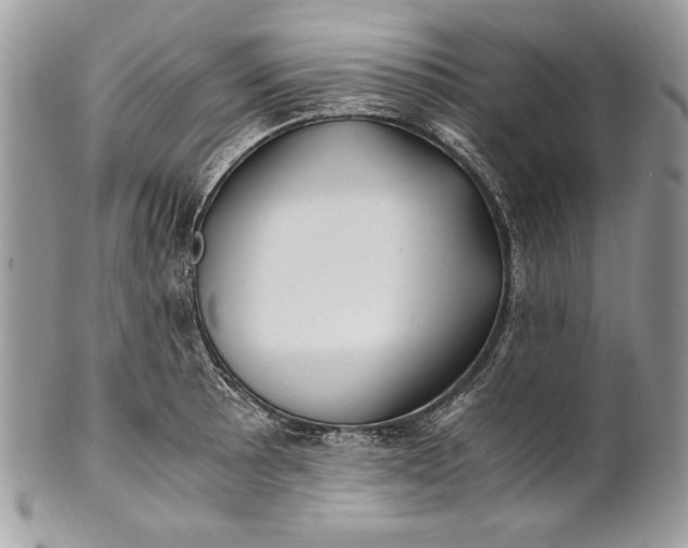 X0000100881089200807071120