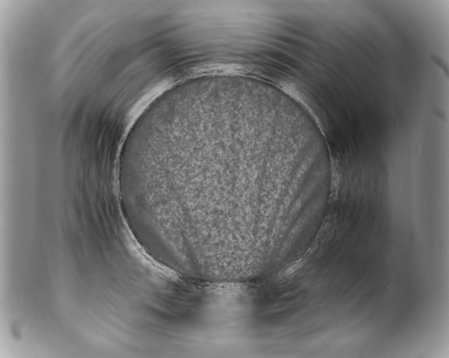 X0000100881090200807071120