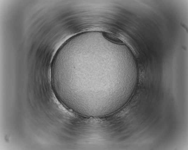 X0000100881092200807071120