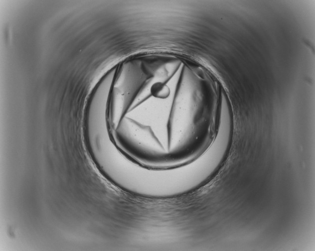 X0000100881093200807071120