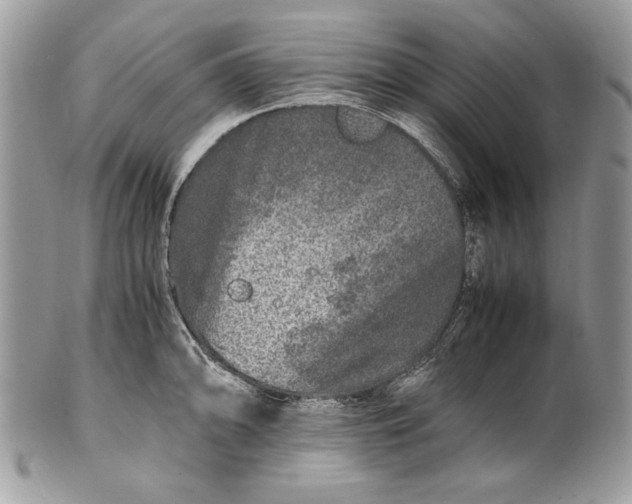 X0000100881094200807071120