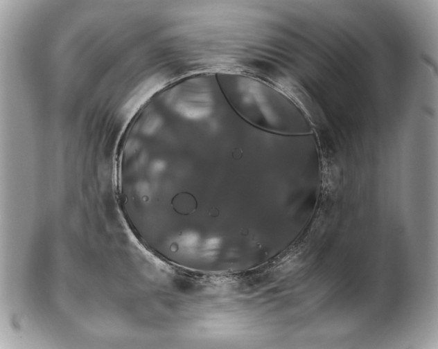 X0000100881095200807071120