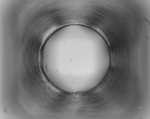 X0000100881096200807071120