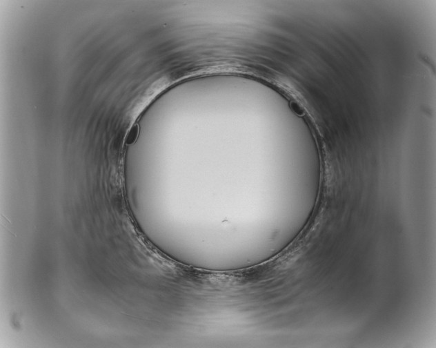 X0000100881097200807071120