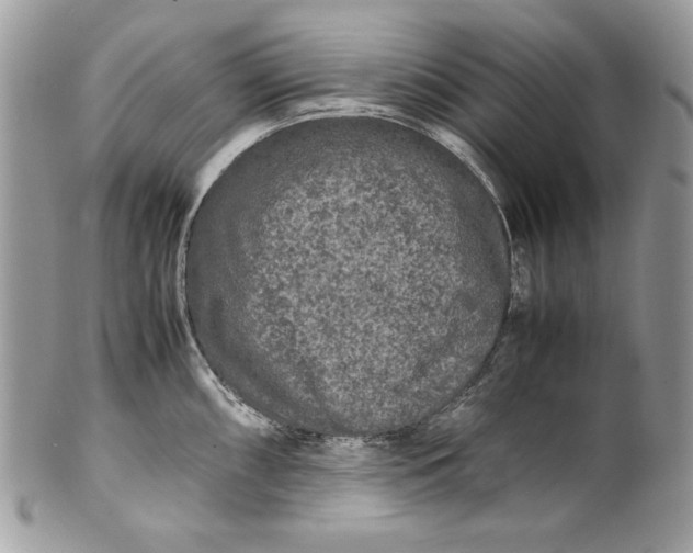 X0000100881098200807071120