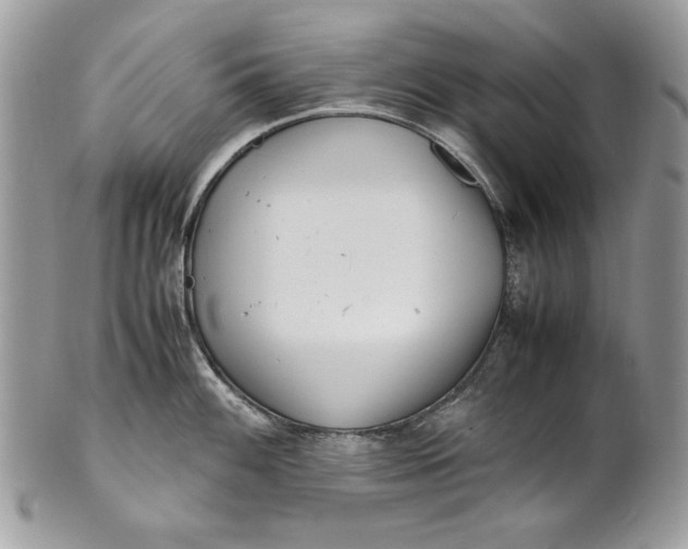 X0000100881100200807071120