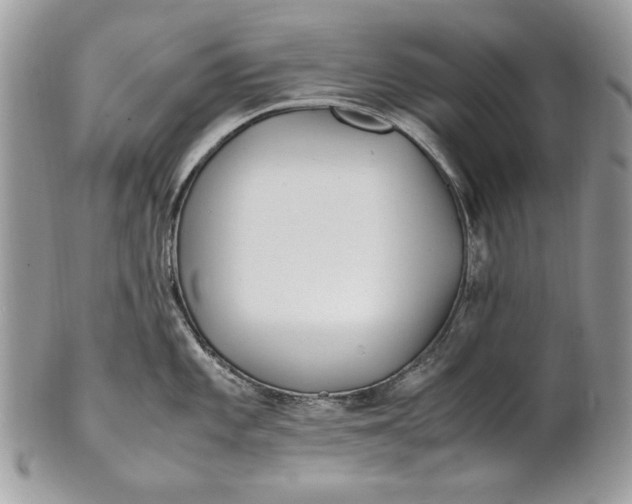 X0000100881101200807071120