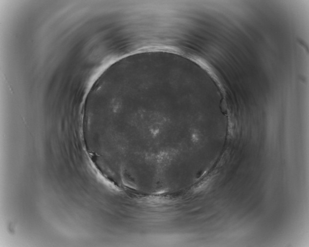 X0000100881102200807071120