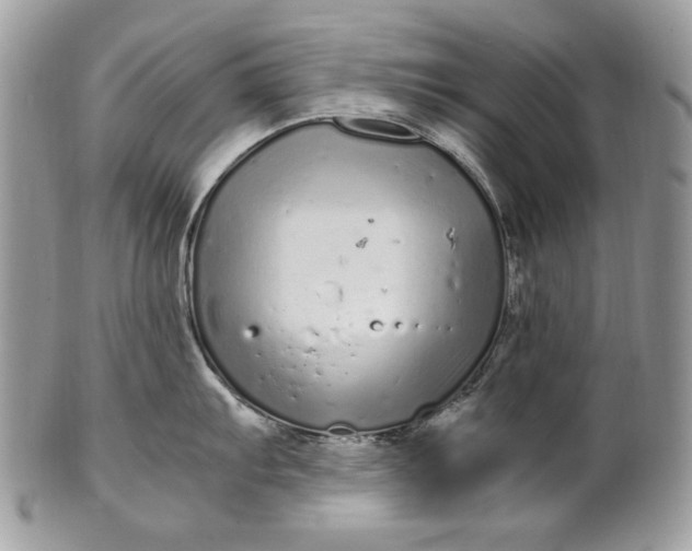 X0000100881103200807071120