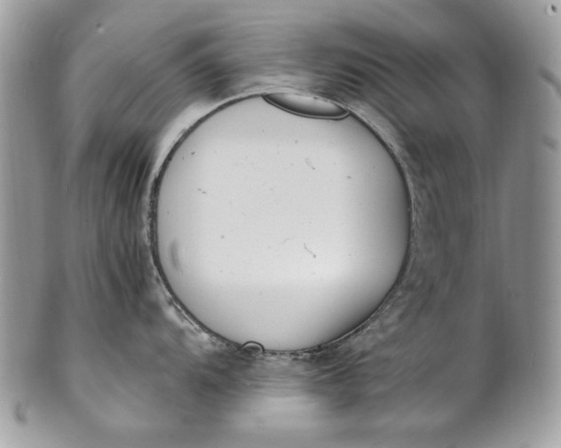 X0000100881104200807071120