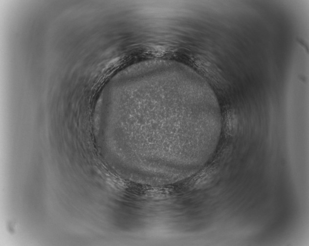 X0000100881105200807071119