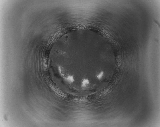 X0000100881106200807071119