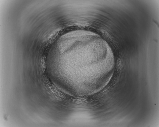 X0000100881110200807071119