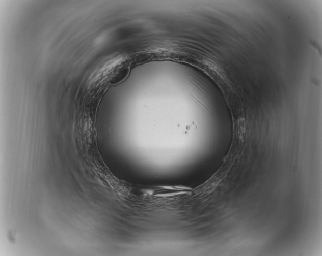 X0000100881111200807071119