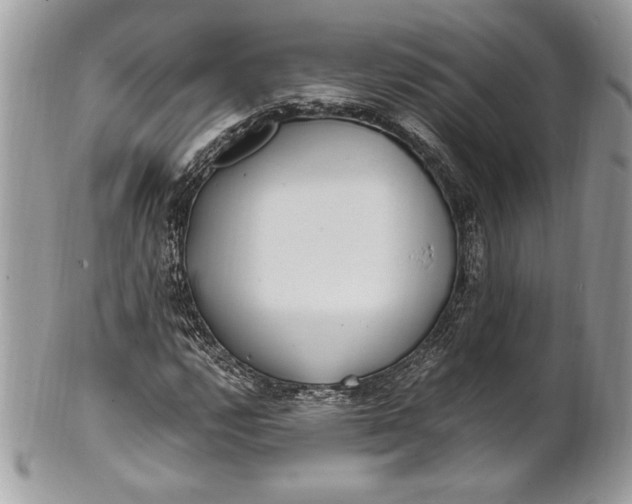 X0000100881112200807071119