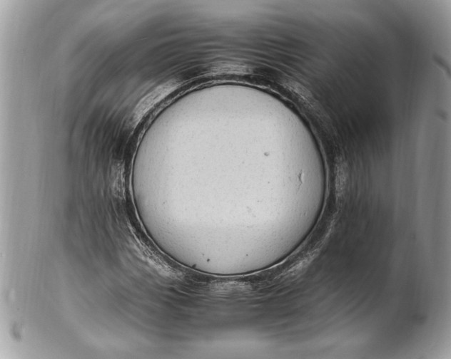 X0000100881113200807071119