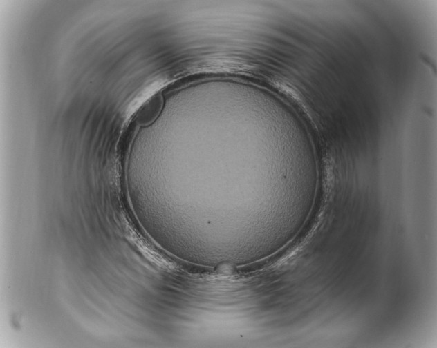 X0000100881114200807071119