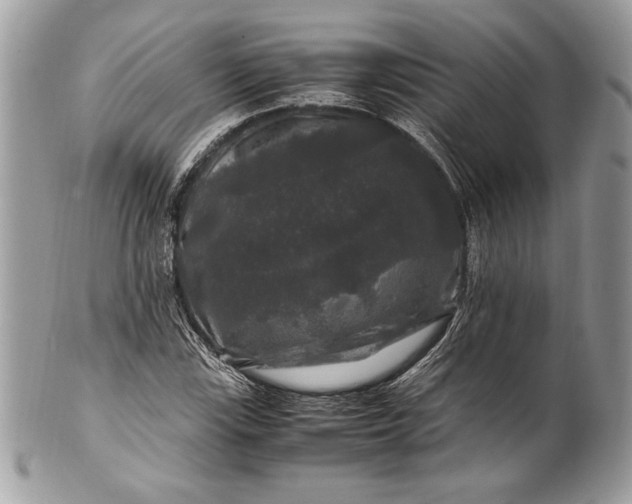 X0000100881115200807071119