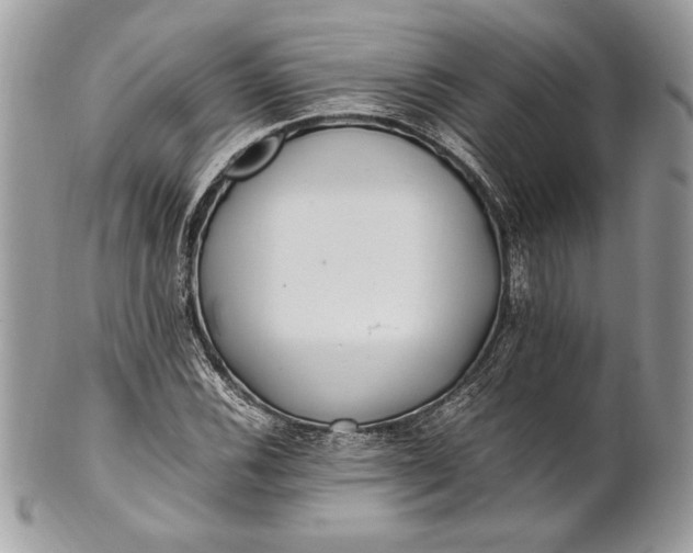 X0000100881116200807071119