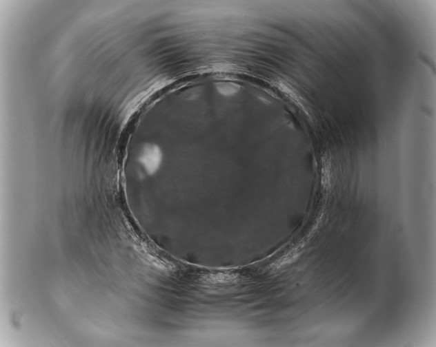 X0000100881117200807071119