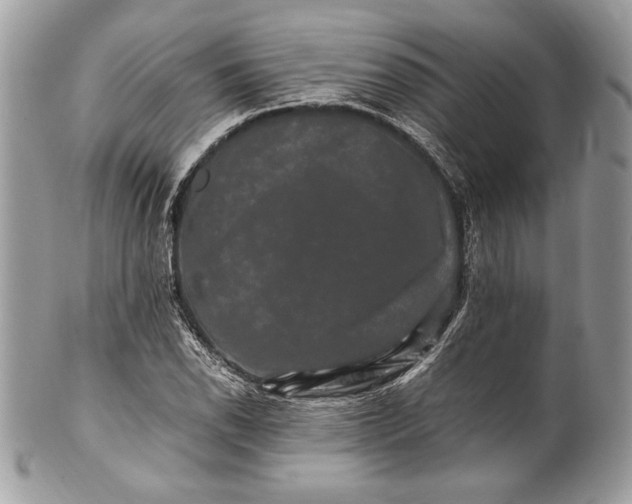 X0000100881118200807071120