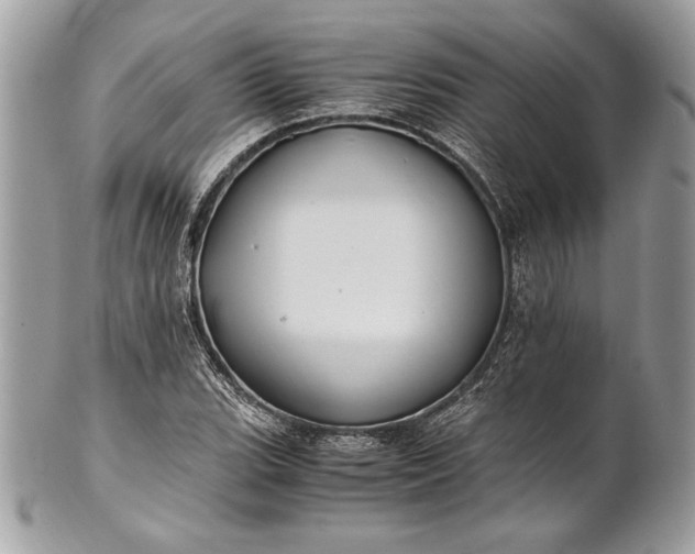 X0000100881119200807071120