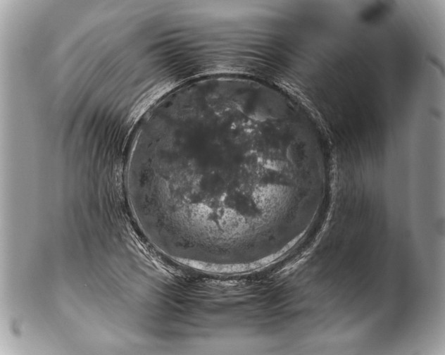 X0000100881121200807071120