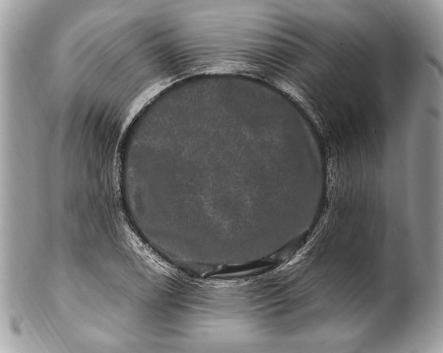 X0000100881122200807071120