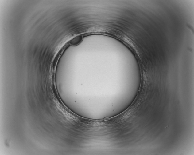 X0000100881124200807071120