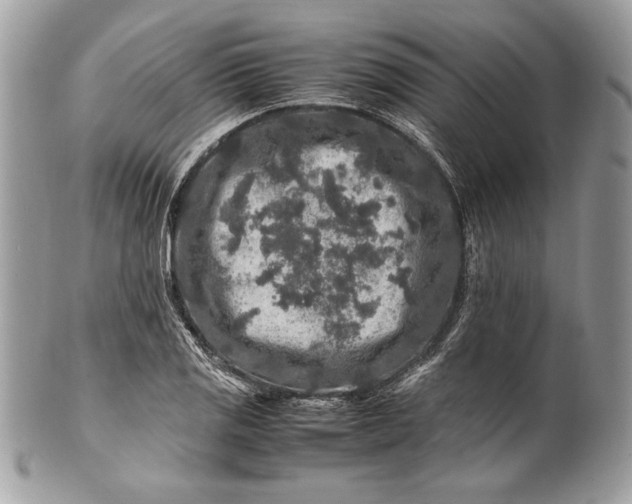 X0000100881125200807071120