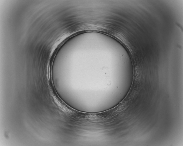 X0000100881128200807071120