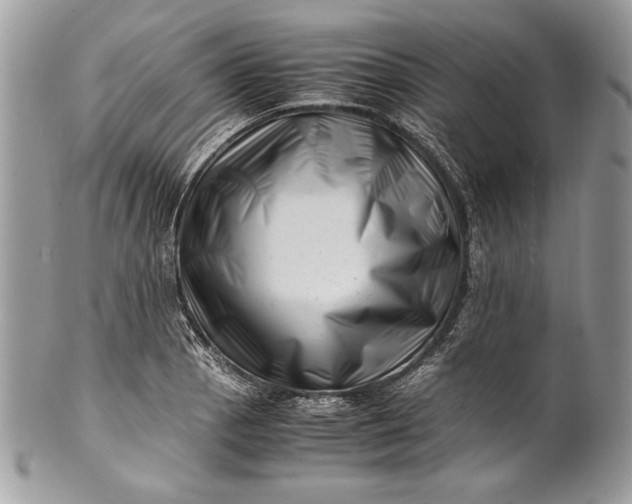 X0000100881129200807071120