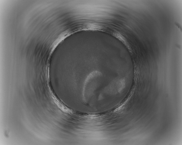 X0000100881130200807071120