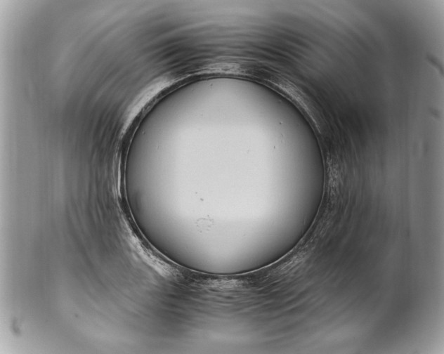 X0000100881131200807071120