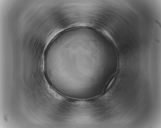 X0000100881132200807071120