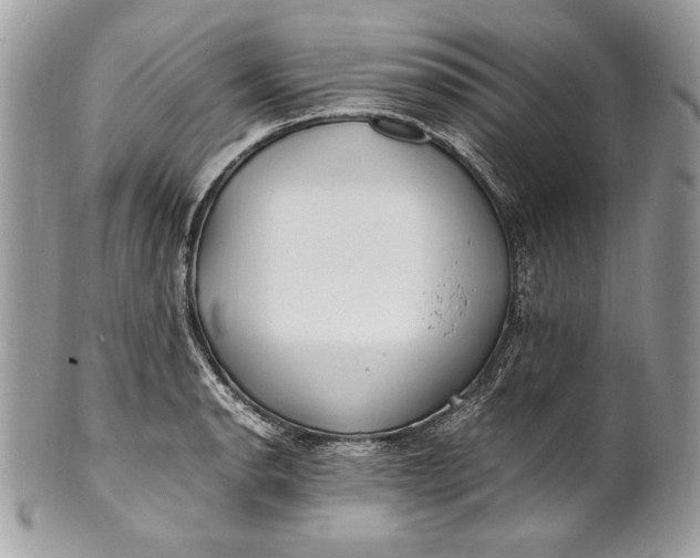 X0000100881134200807071120