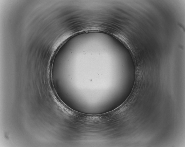 X0000100881135200807071120