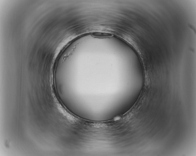 X0000100881136200807071120