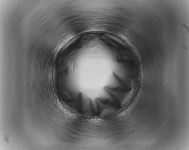 X0000100881137200807071120