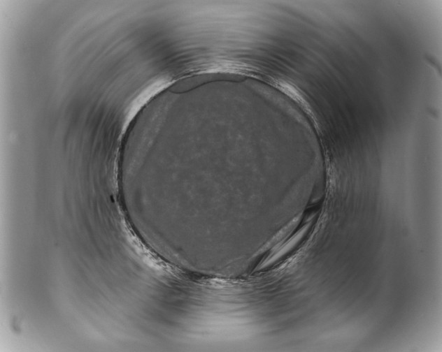 X0000100881138200807071120